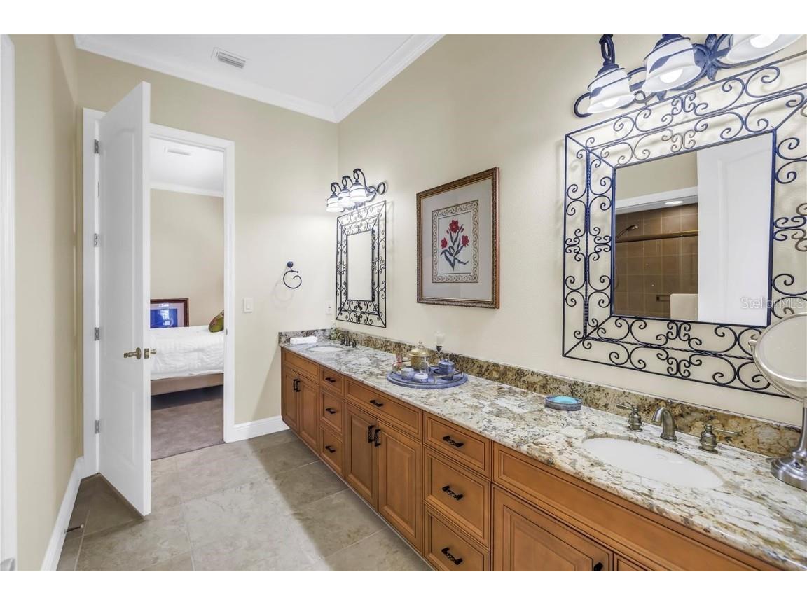 2101 N Pointe Alexis Drive Tarpon Springs FL 34689 TB8433519 image9