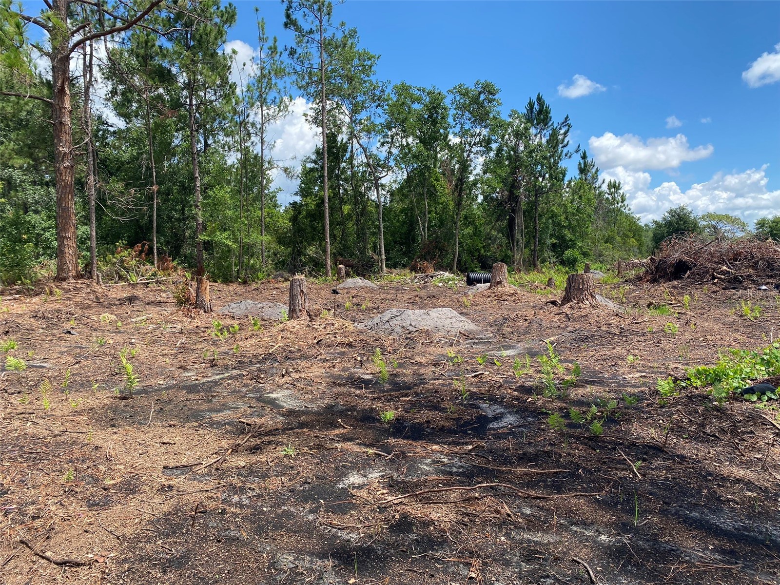 2101 W Frostproof Road Frostproof FL 33843 S5122478 image2