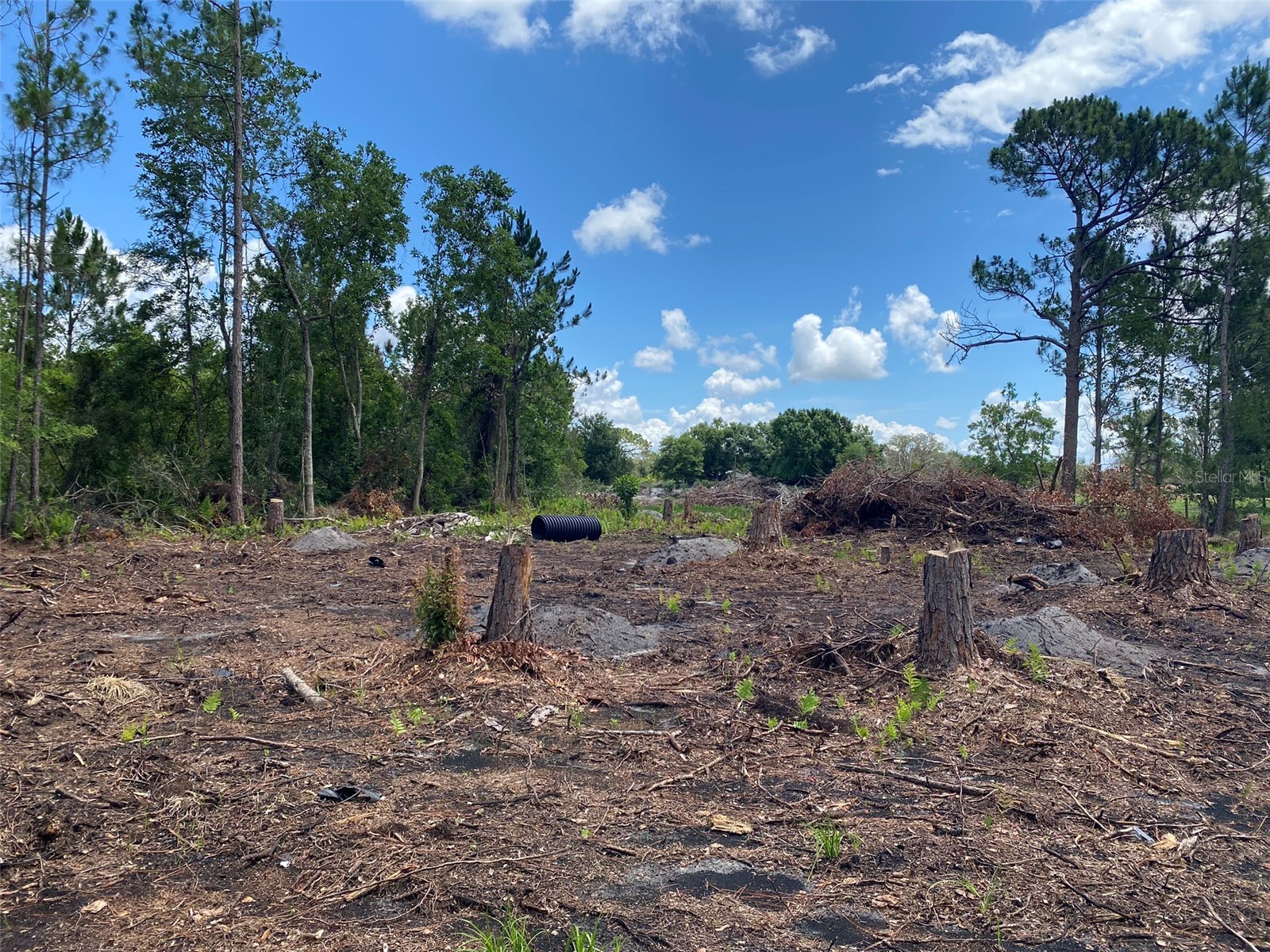 2101 W Frostproof Road Frostproof FL 33843 S5122478 image5