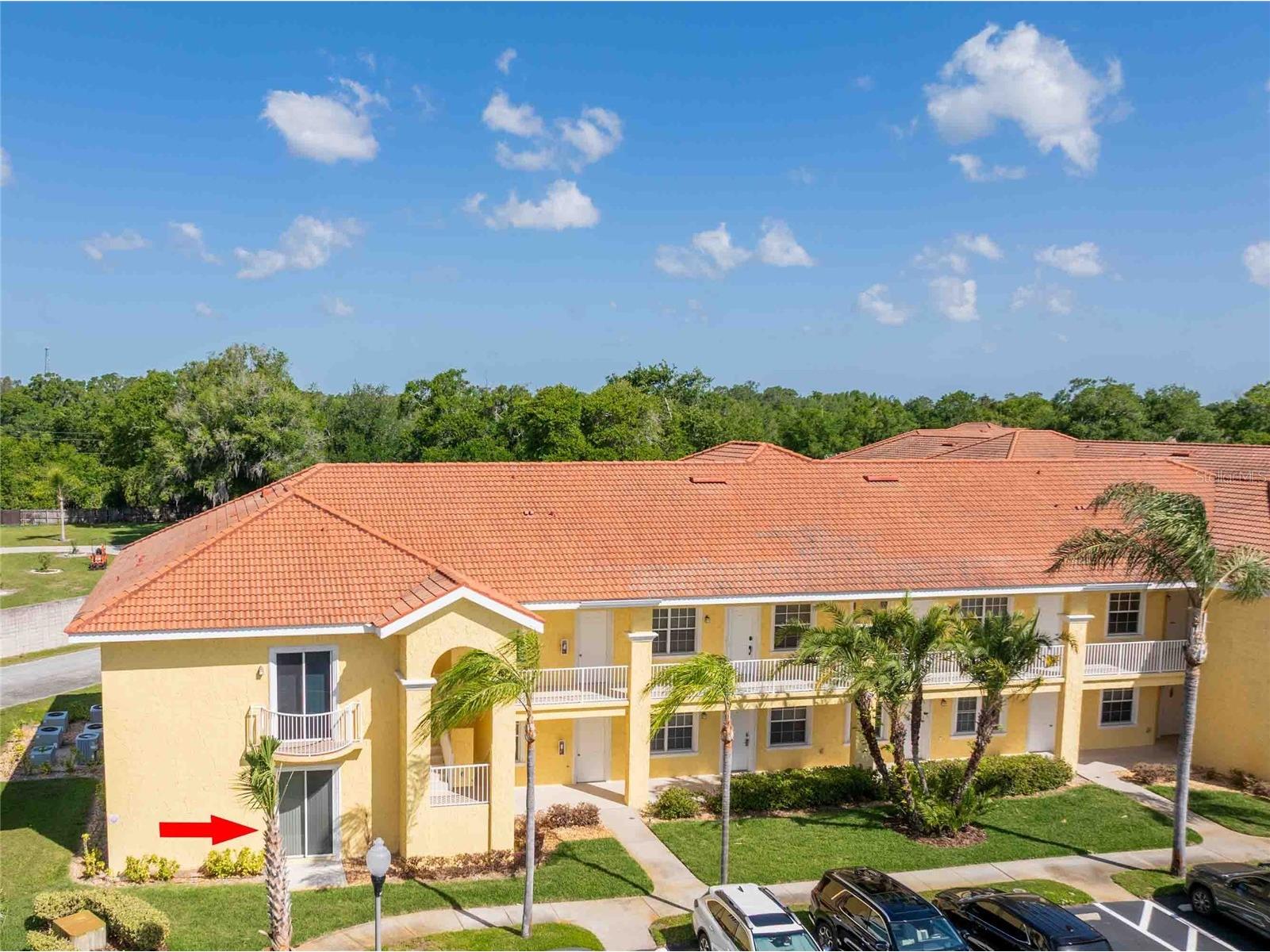 21011 Picasso Court #106 Land O Lakes FL 34637 TB8497697 image28