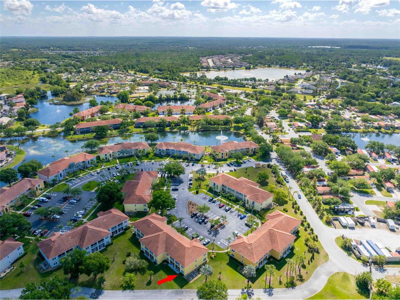 21011 Picasso Court #106 Land O Lakes FL 34637 TB8497697 image35