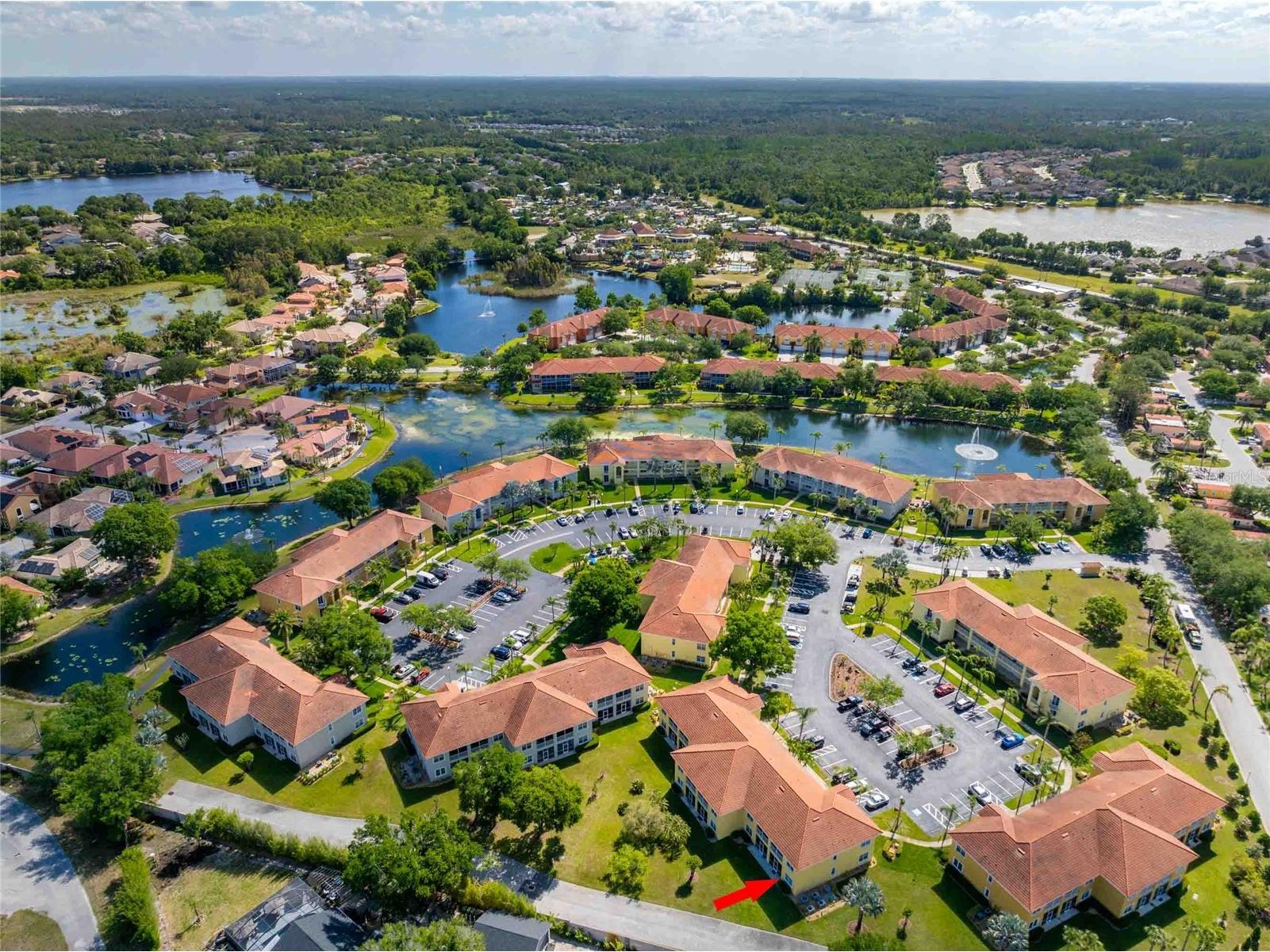 21011 Picasso Court #106 Land O Lakes FL 34637 TB8497697 image36