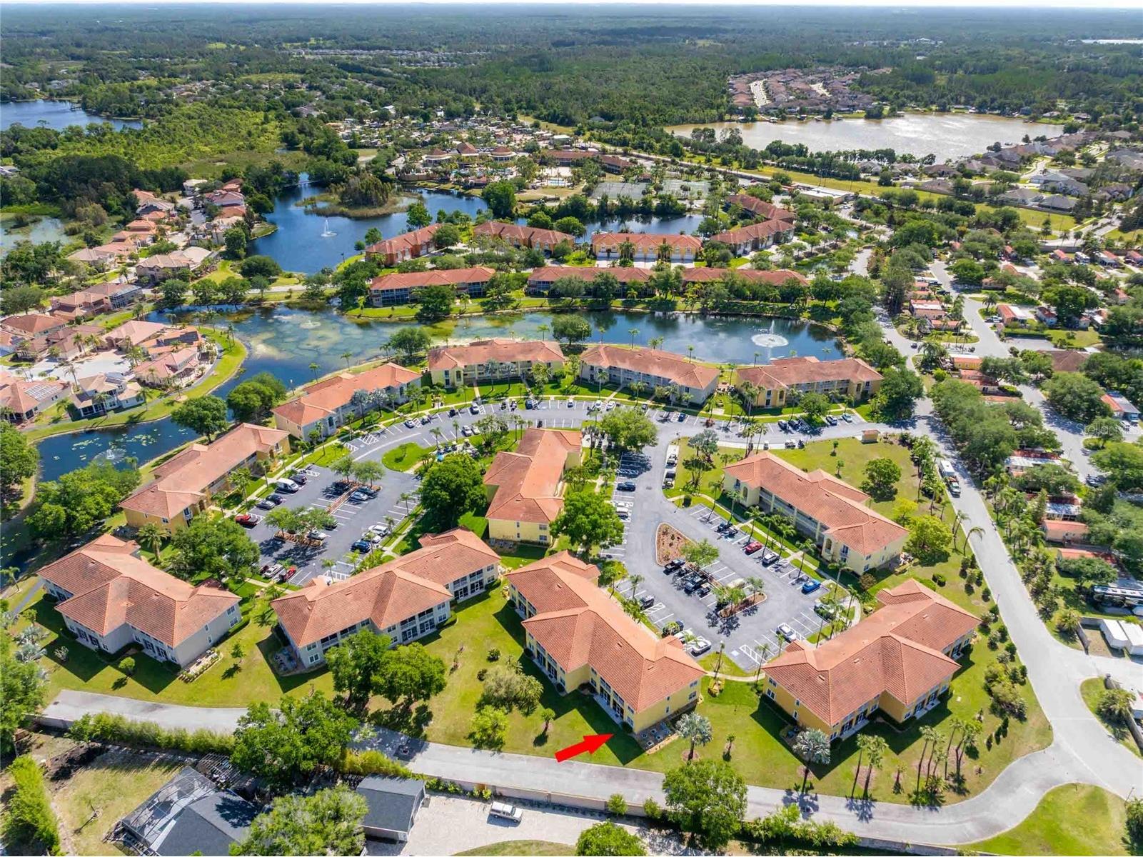 21011 Picasso Court #106 Land O Lakes FL 34637 TB8497697 image37