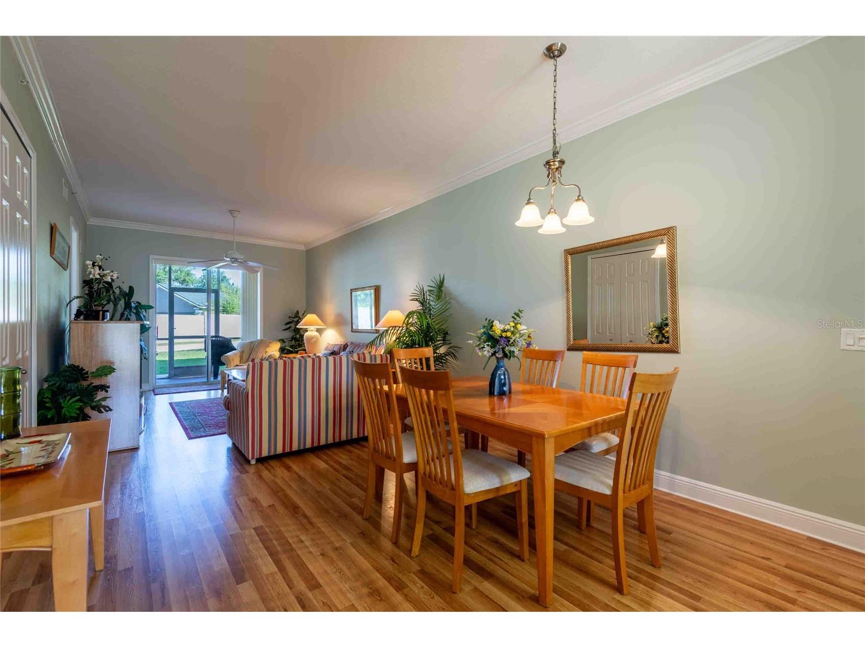 21011 Picasso Court #106 Land O Lakes FL 34637 TB8497697 image5