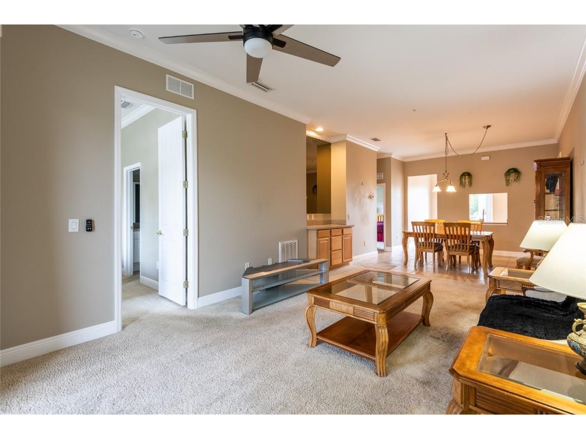 21012 Picasso Court #J201 Land O Lakes FL 34637 TB8380240 image20