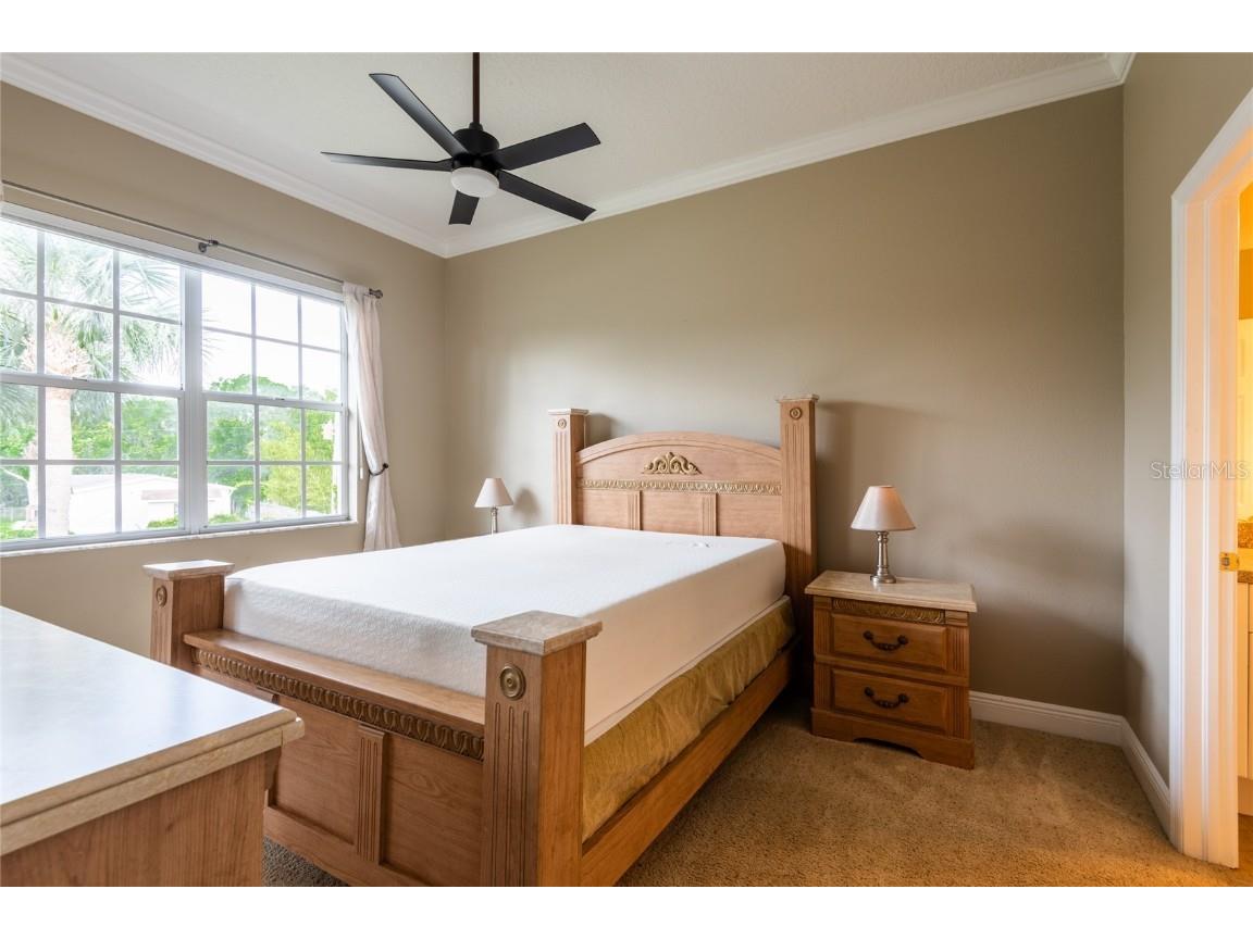 21012 Picasso Court #J201 Land O Lakes FL 34637 TB8380240 image21