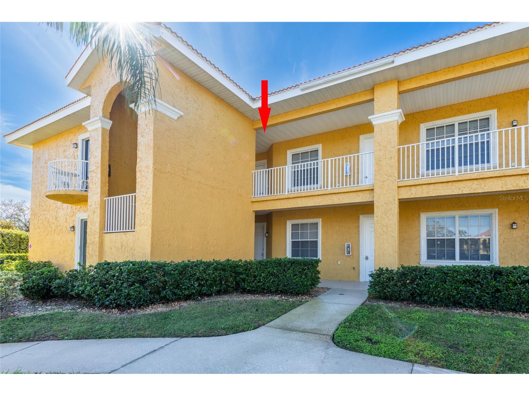 21012 Picasso Court #J205 Land O Lakes FL 34637 TB8336211 image1