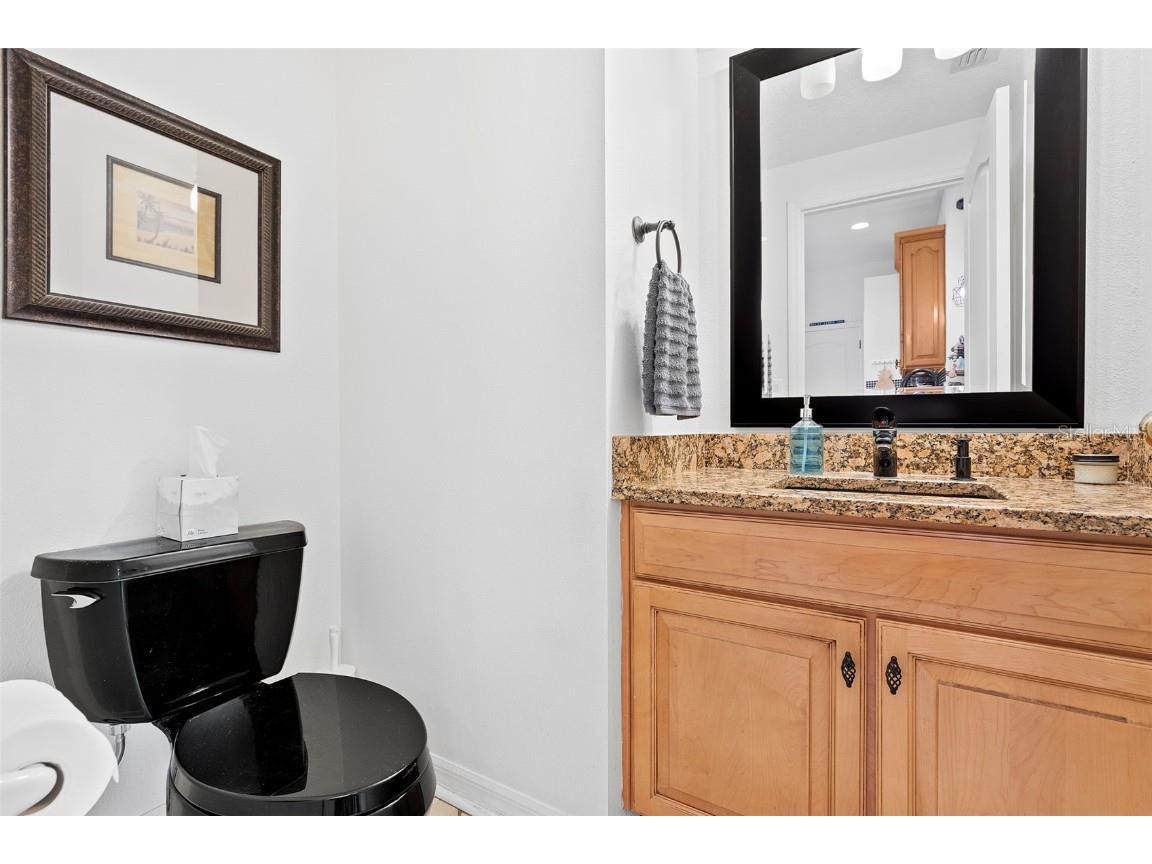 21014 Follensby Court Land O Lakes FL 34637 TB8426129 image16