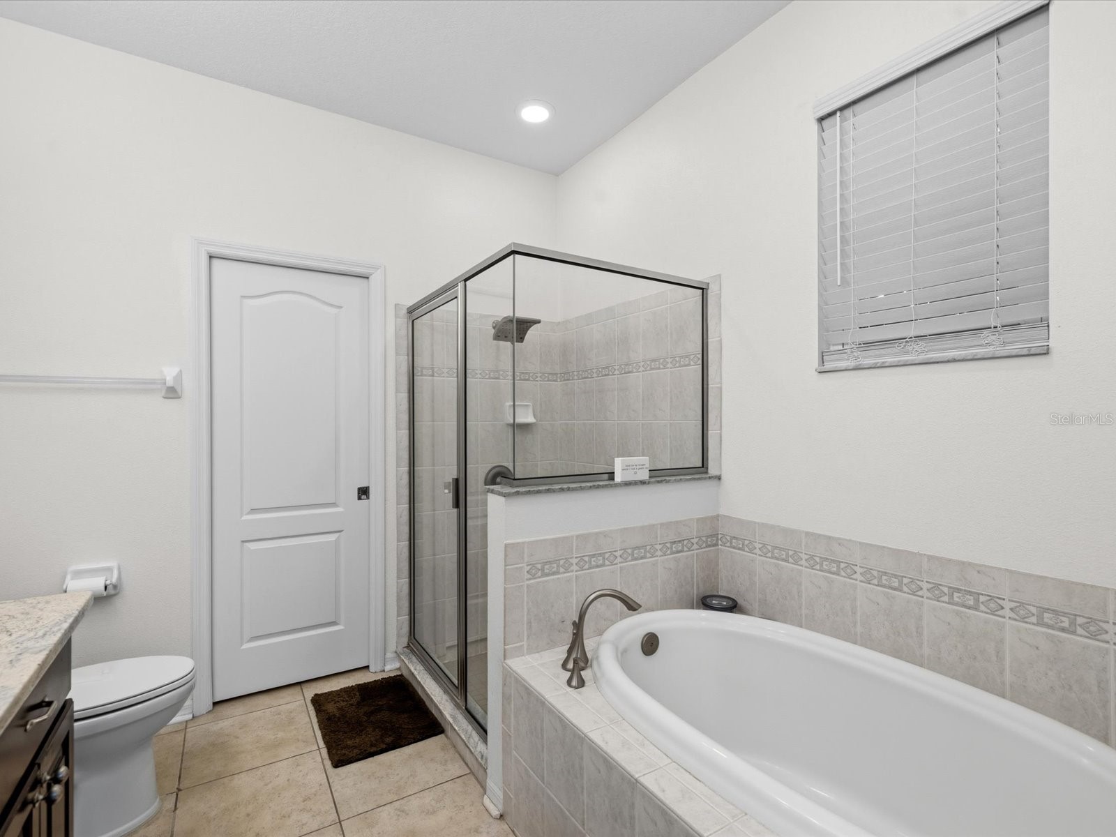 21014 Follensby Court Land O Lakes FL 34637 TB8506615 image23