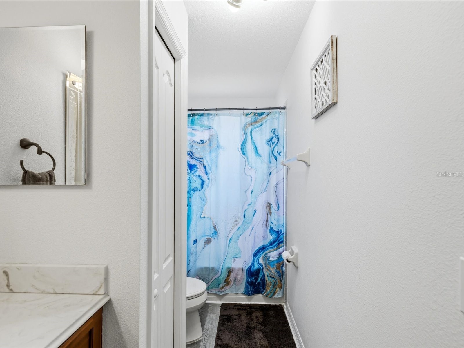 21014 Follensby Court Land O Lakes FL 34637 TB8506615 image28