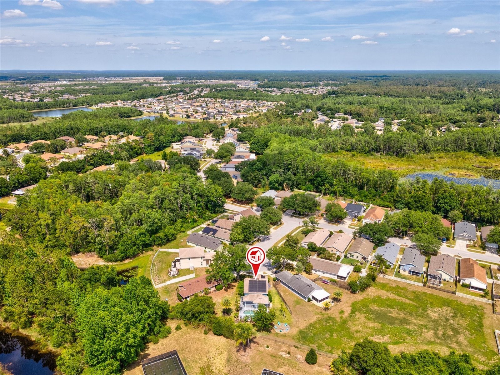 21014 Follensby Court Land O Lakes FL 34637 TB8506615 image45