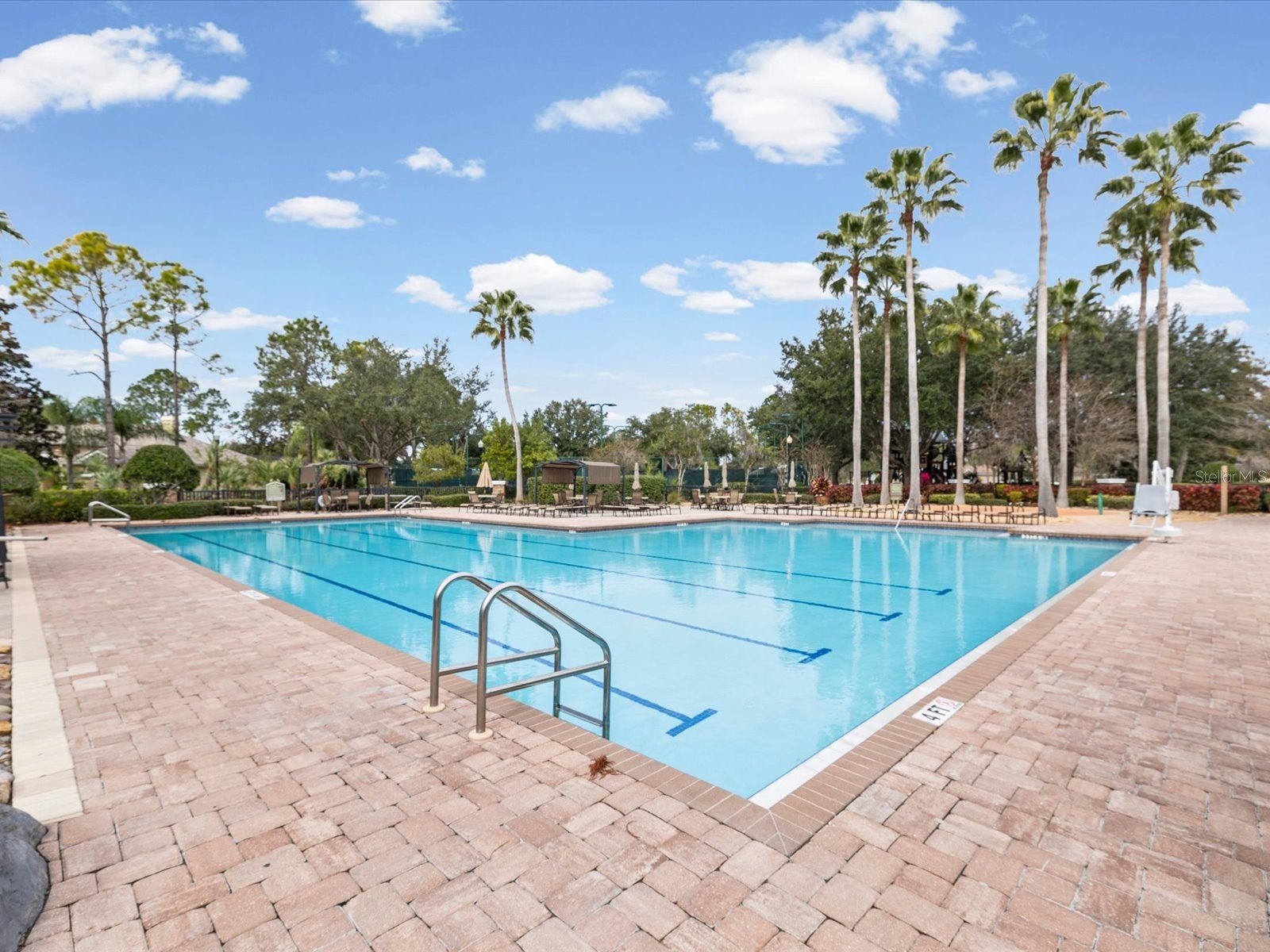 21014 Follensby Court Land O Lakes FL 34637 TB8506615 image54