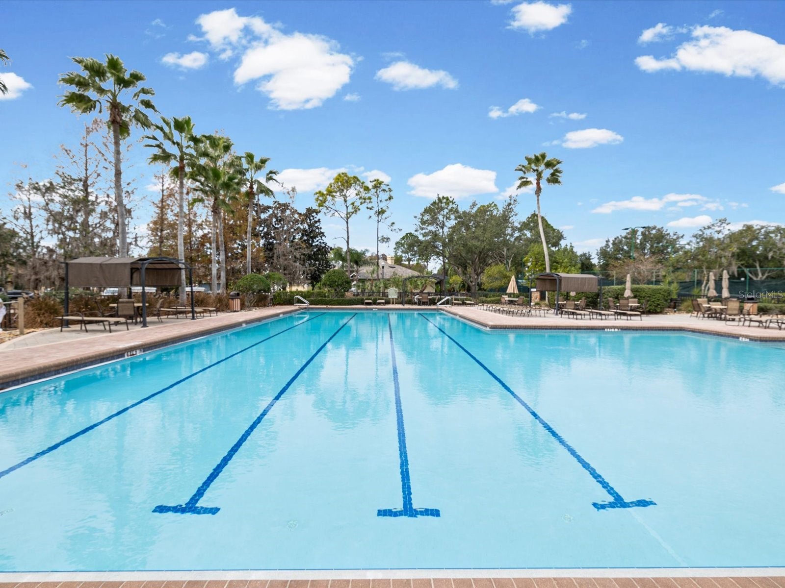 21014 Follensby Court Land O Lakes FL 34637 TB8506615 image55