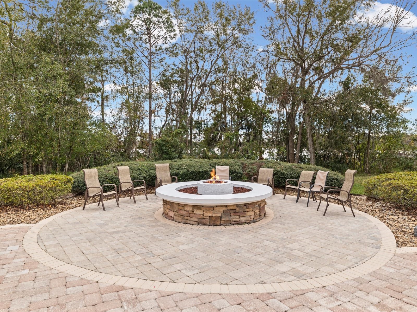 21014 Follensby Court Land O Lakes FL 34637 TB8506615 image59