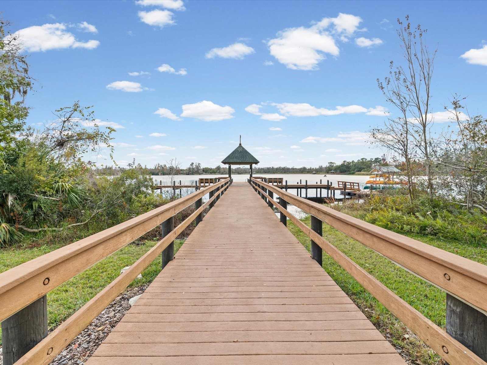 21014 Follensby Court Land O Lakes FL 34637 TB8506615 image62