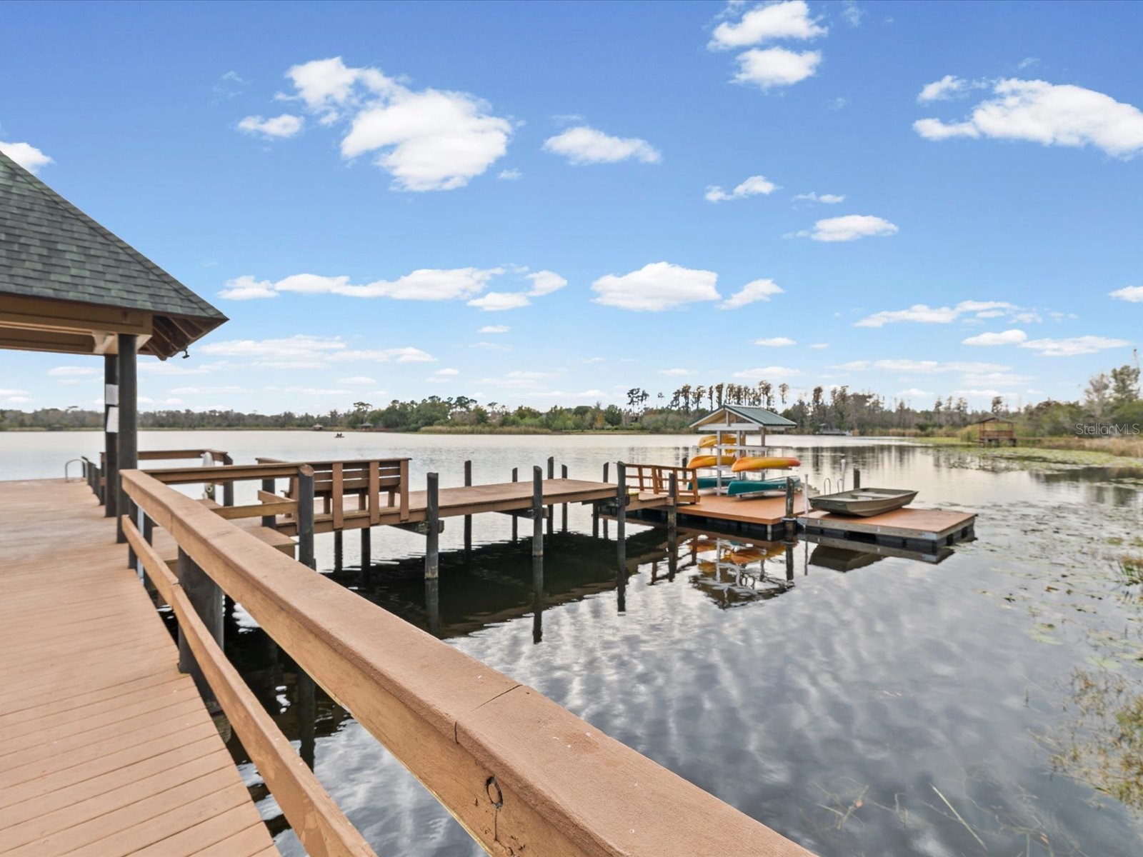 21014 Follensby Court Land O Lakes FL 34637 TB8506615 image63