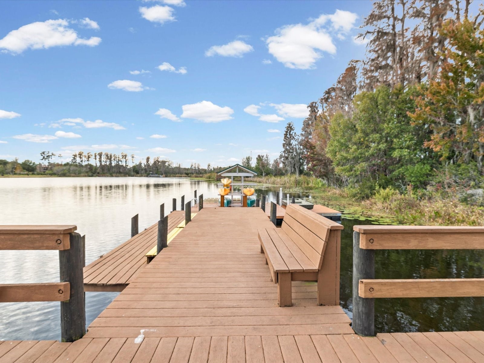 21014 Follensby Court Land O Lakes FL 34637 TB8506615 image64