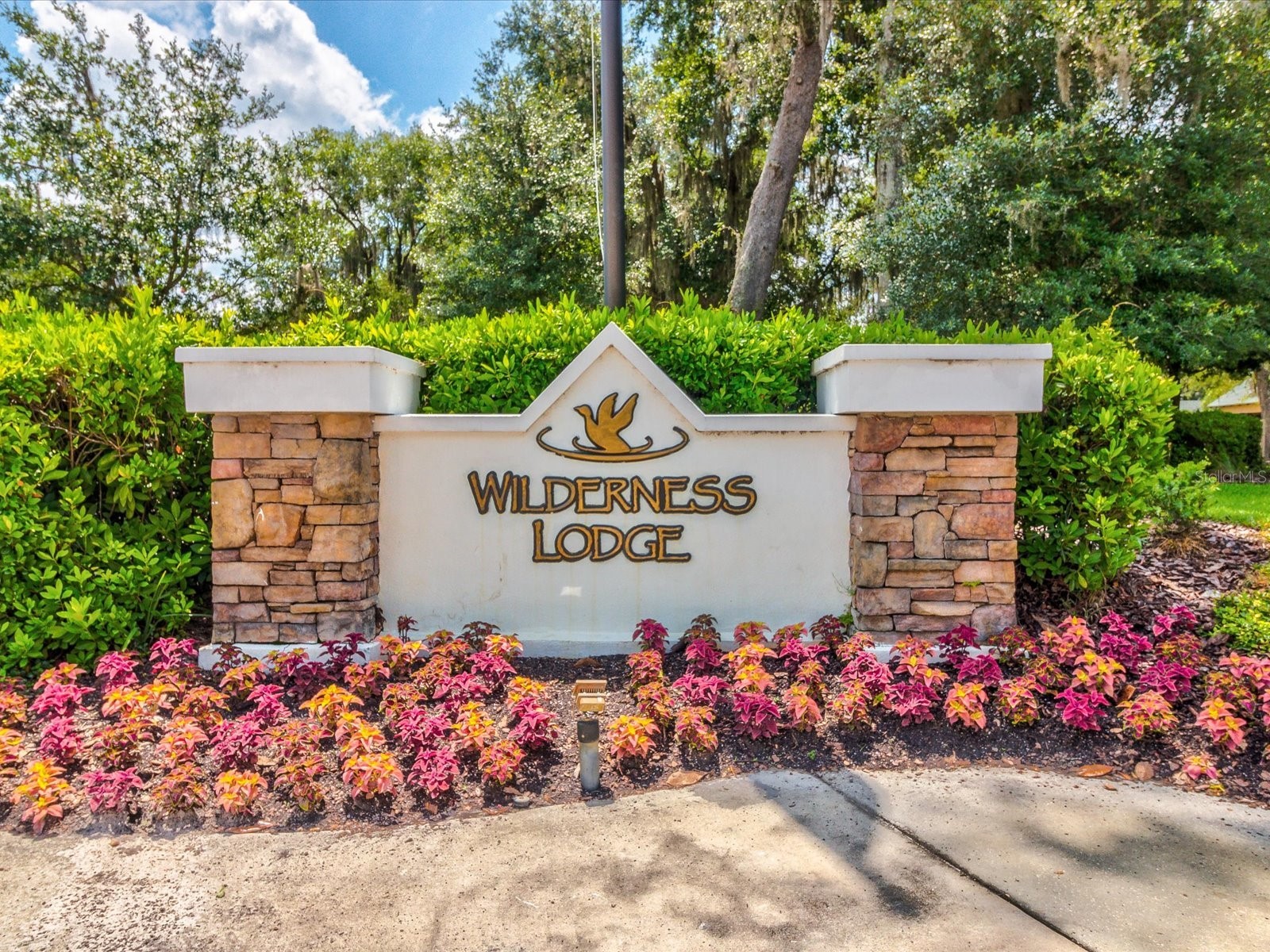 21014 Follensby Court Land O Lakes FL 34637 TB8506615 image76