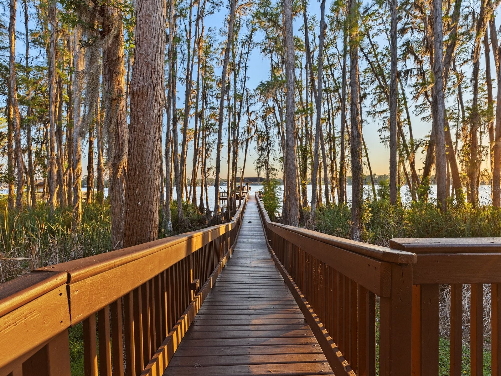 21019 Marsh Hawk Drive Land O Lakes FL 34638 - LAKE THOMAS TB8510975 image14