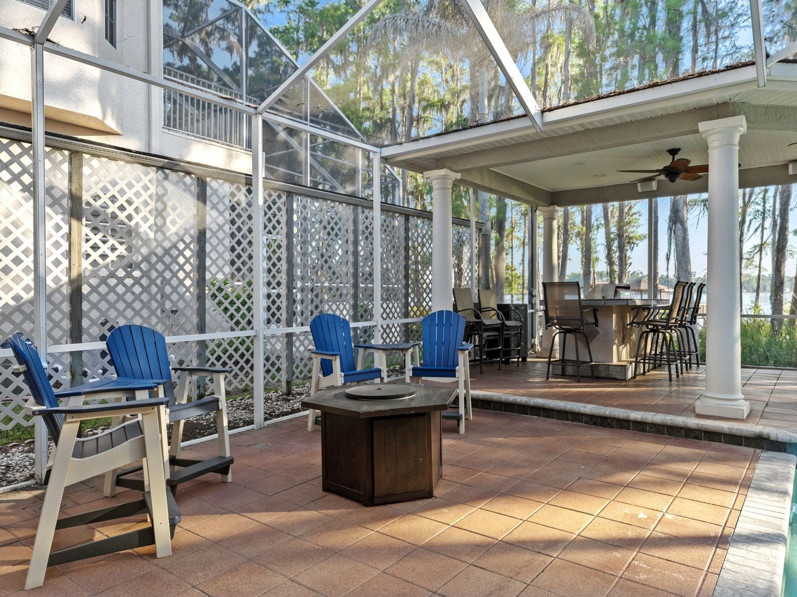 21019 Marsh Hawk Drive Land O Lakes FL 34638 - LAKE THOMAS TB8510975 image16
