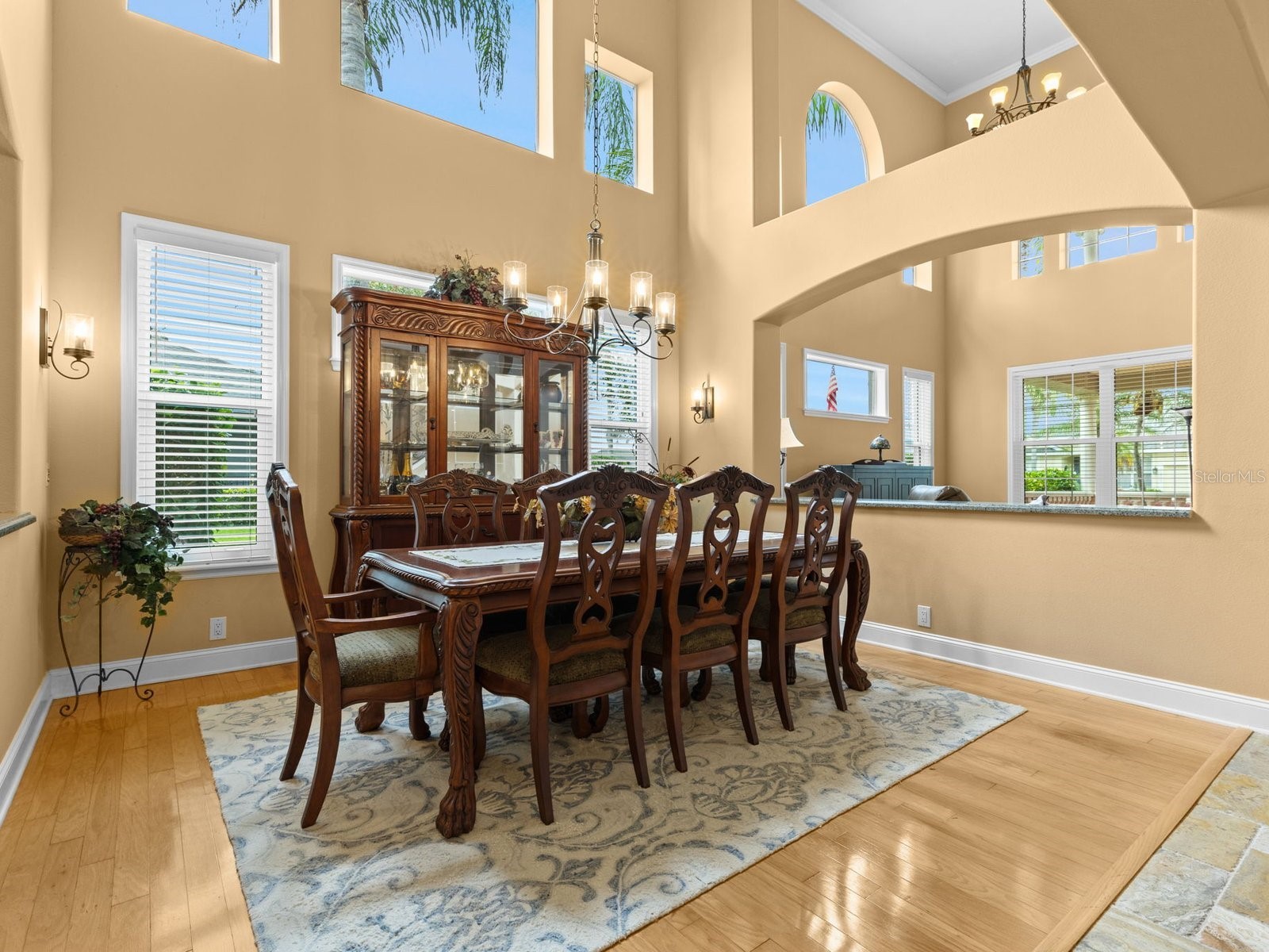 21019 Marsh Hawk Drive Land O Lakes FL 34638 - LAKE THOMAS TB8510975 image22