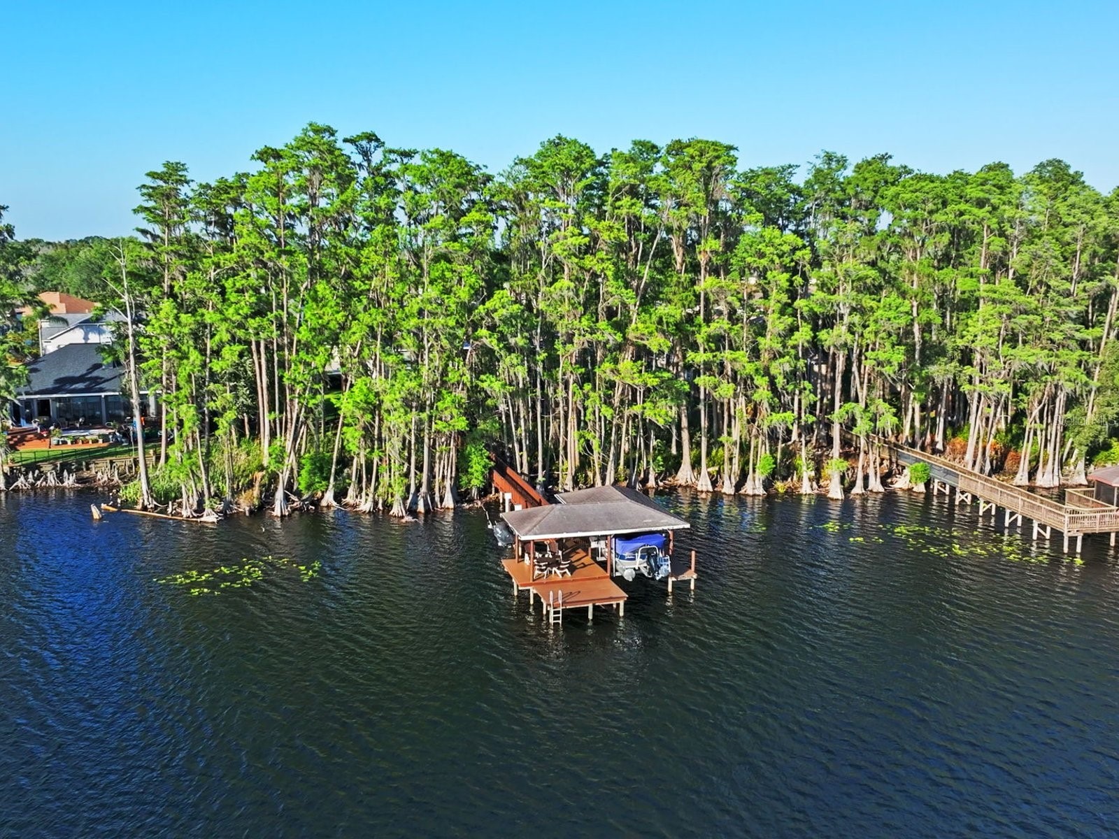 21019 Marsh Hawk Drive Land O Lakes FL 34638 - LAKE THOMAS TB8510975 image4