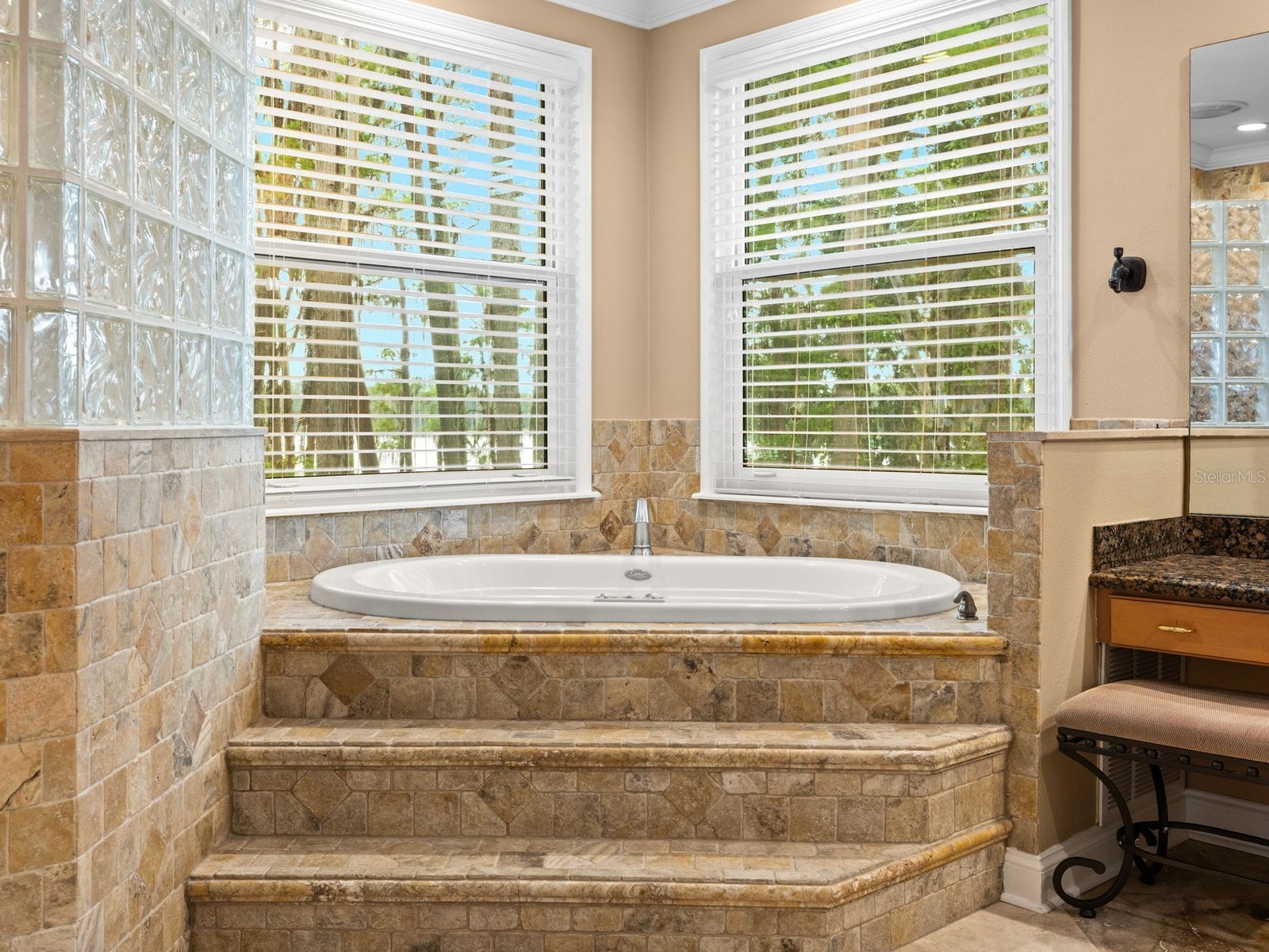 21019 Marsh Hawk Drive Land O Lakes FL 34638 - LAKE THOMAS TB8510975 image42