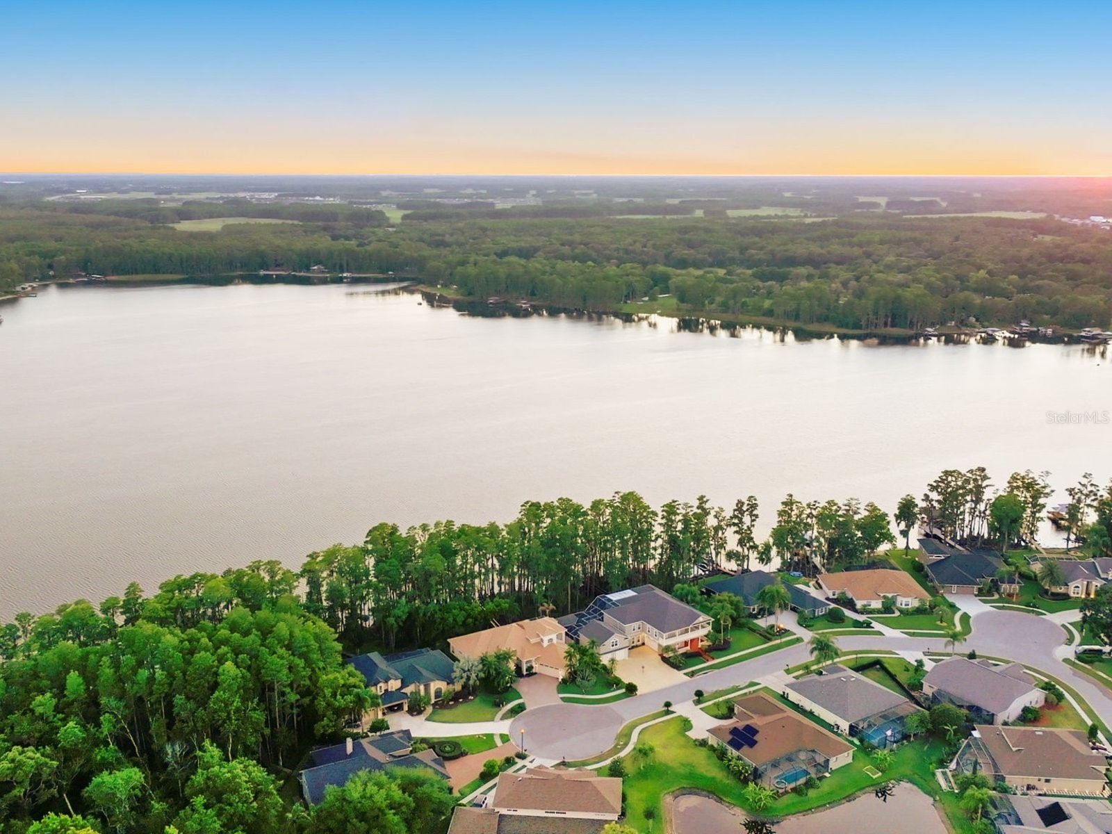 21019 Marsh Hawk Drive Land O Lakes FL 34638 - LAKE THOMAS TB8510975 image5