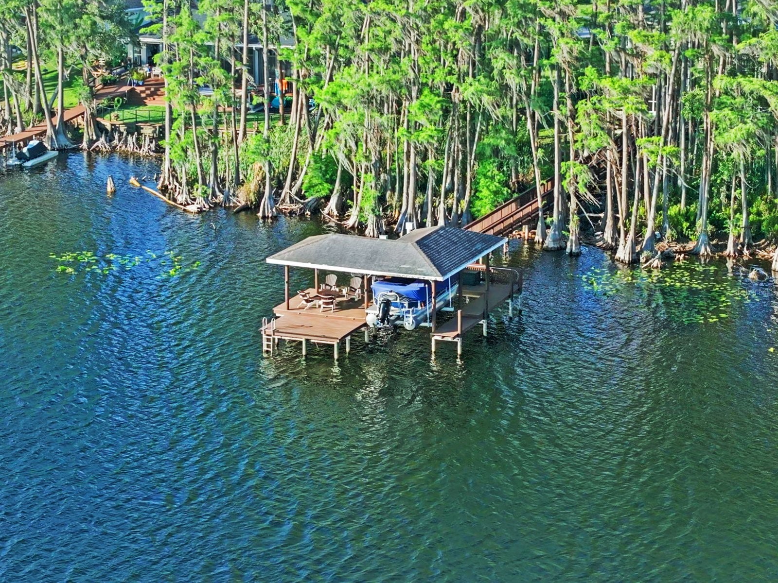 21019 Marsh Hawk Drive Land O Lakes FL 34638 - LAKE THOMAS TB8510975 image8