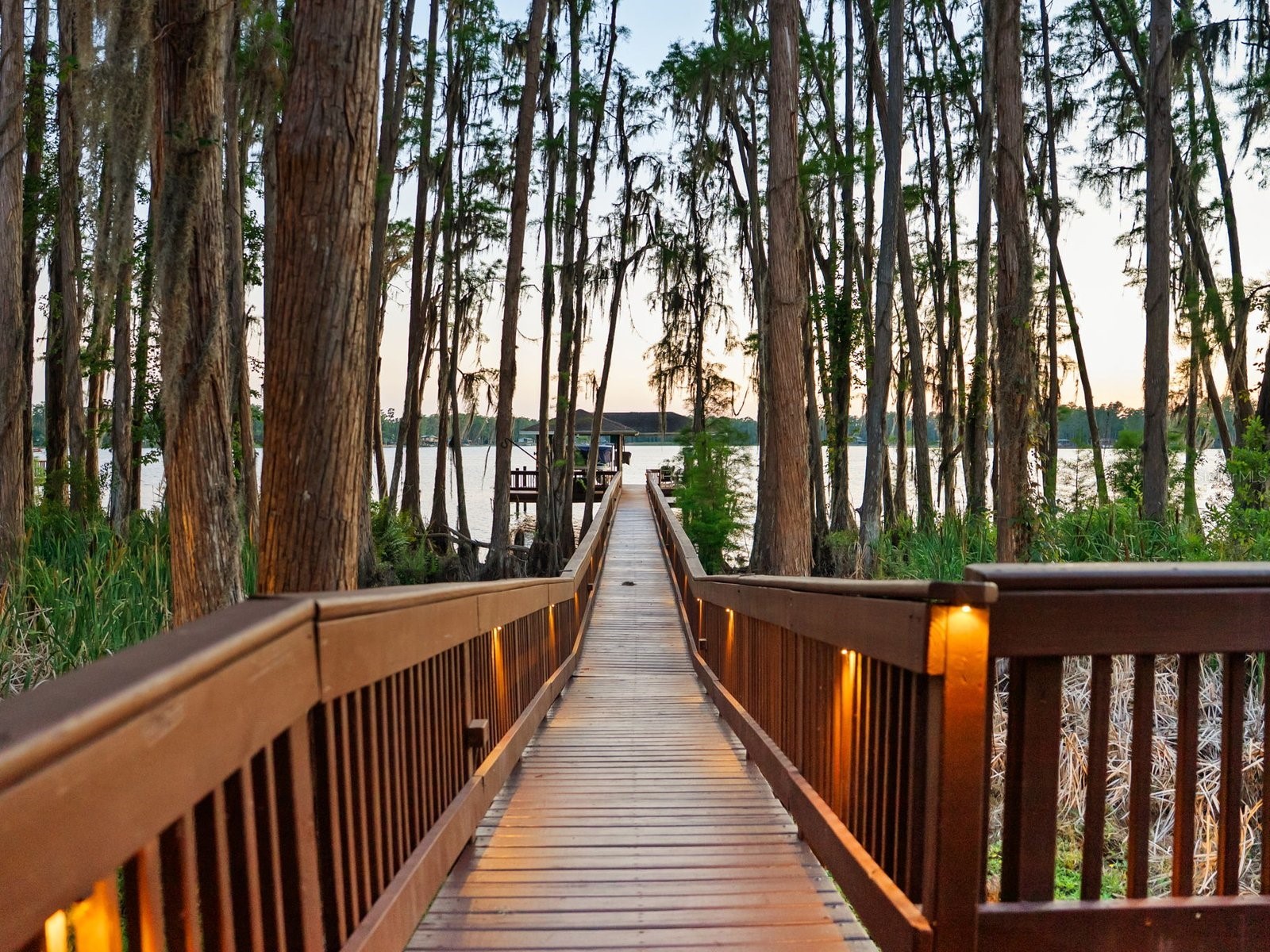 21019 Marsh Hawk Drive Land O Lakes FL 34638 - LAKE THOMAS TB8510975 image9