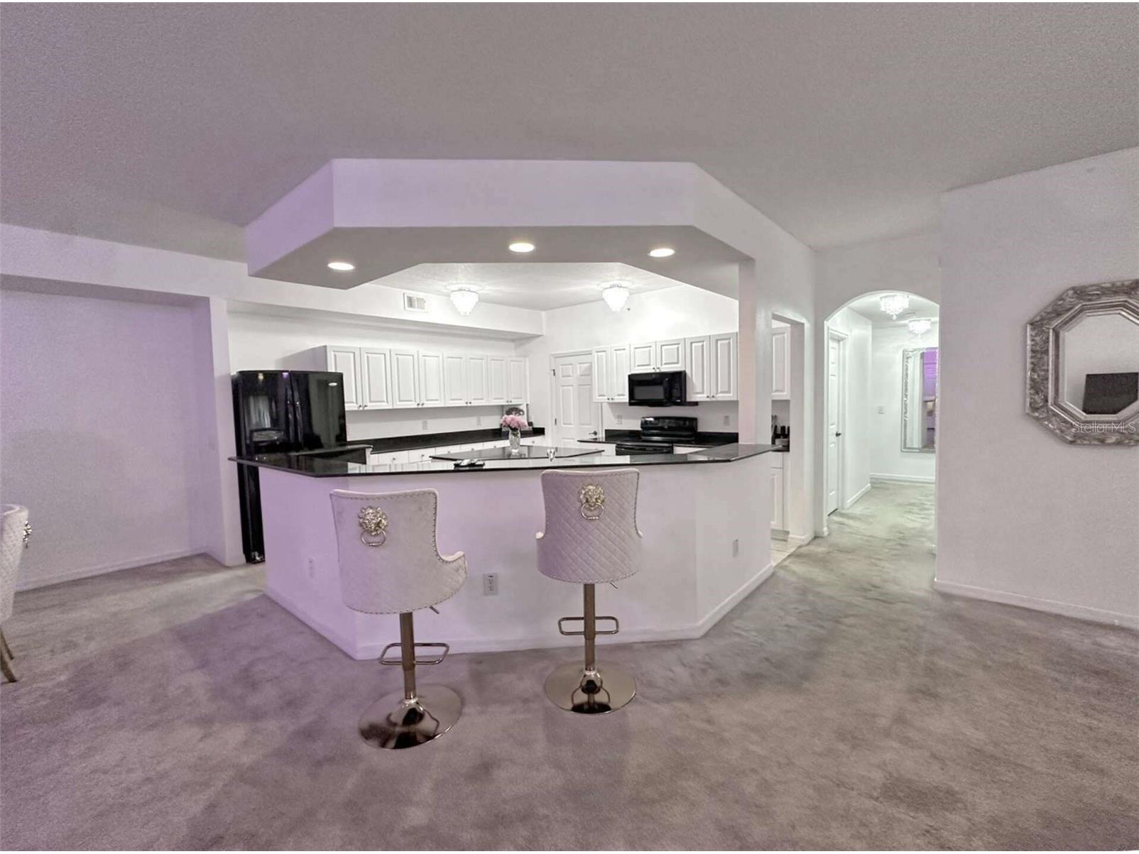 21019 Sunpoint Way #102 Lutz FL 33558 A4686922 image14