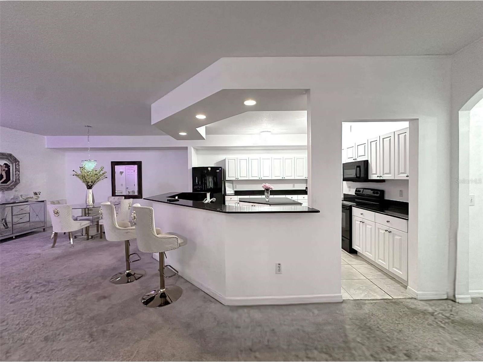 21019 Sunpoint Way #102 Lutz FL 33558 A4686922 image15