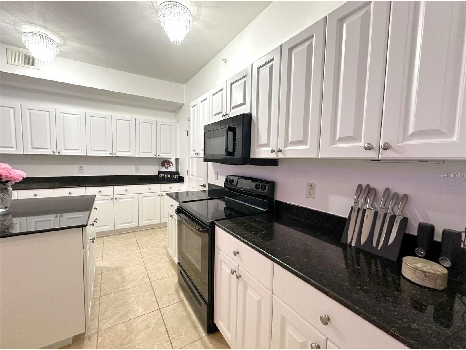 21019 Sunpoint Way #102 Lutz FL 33558 A4686922 image16