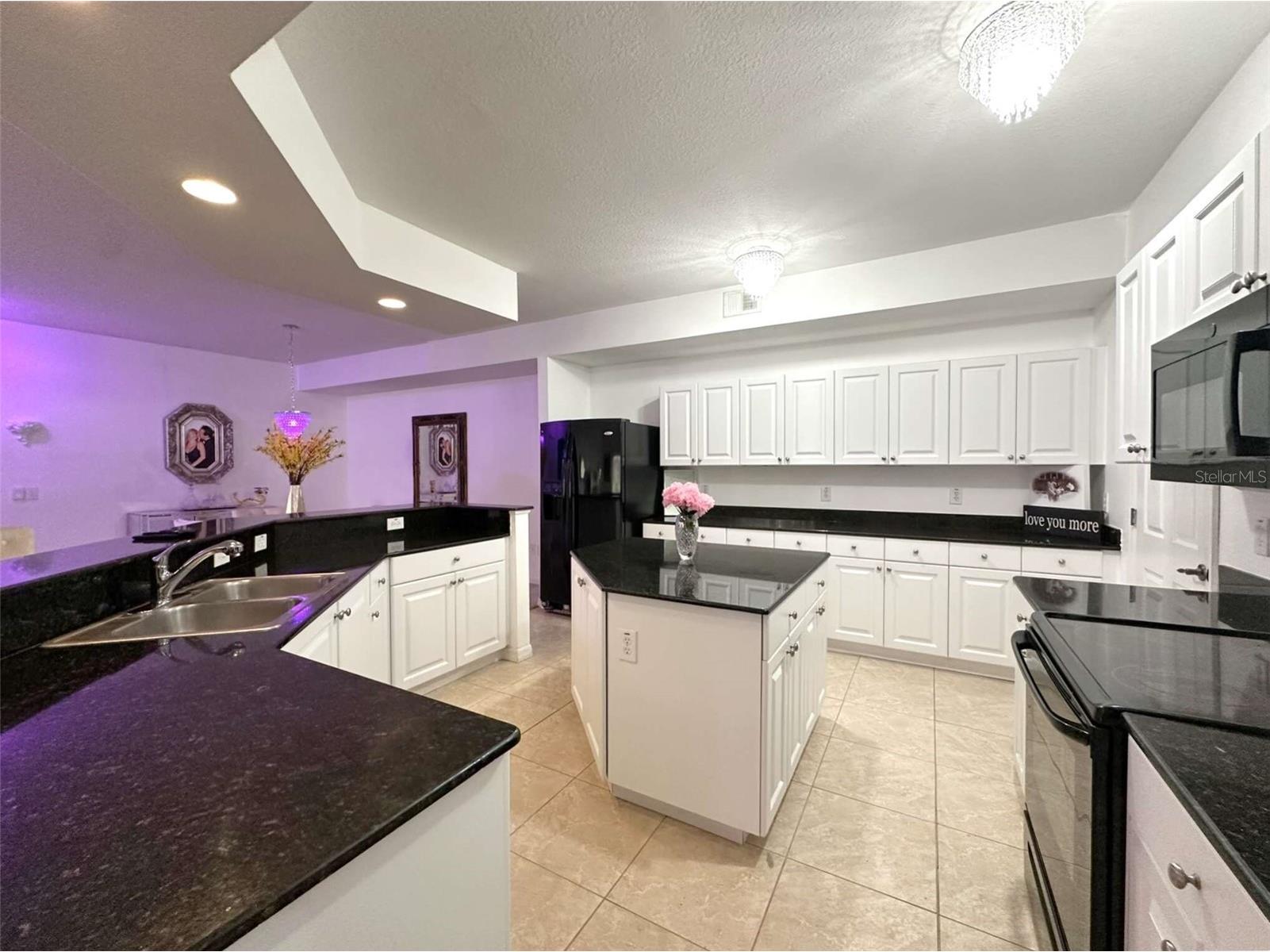 21019 Sunpoint Way #102 Lutz FL 33558 A4686922 image17