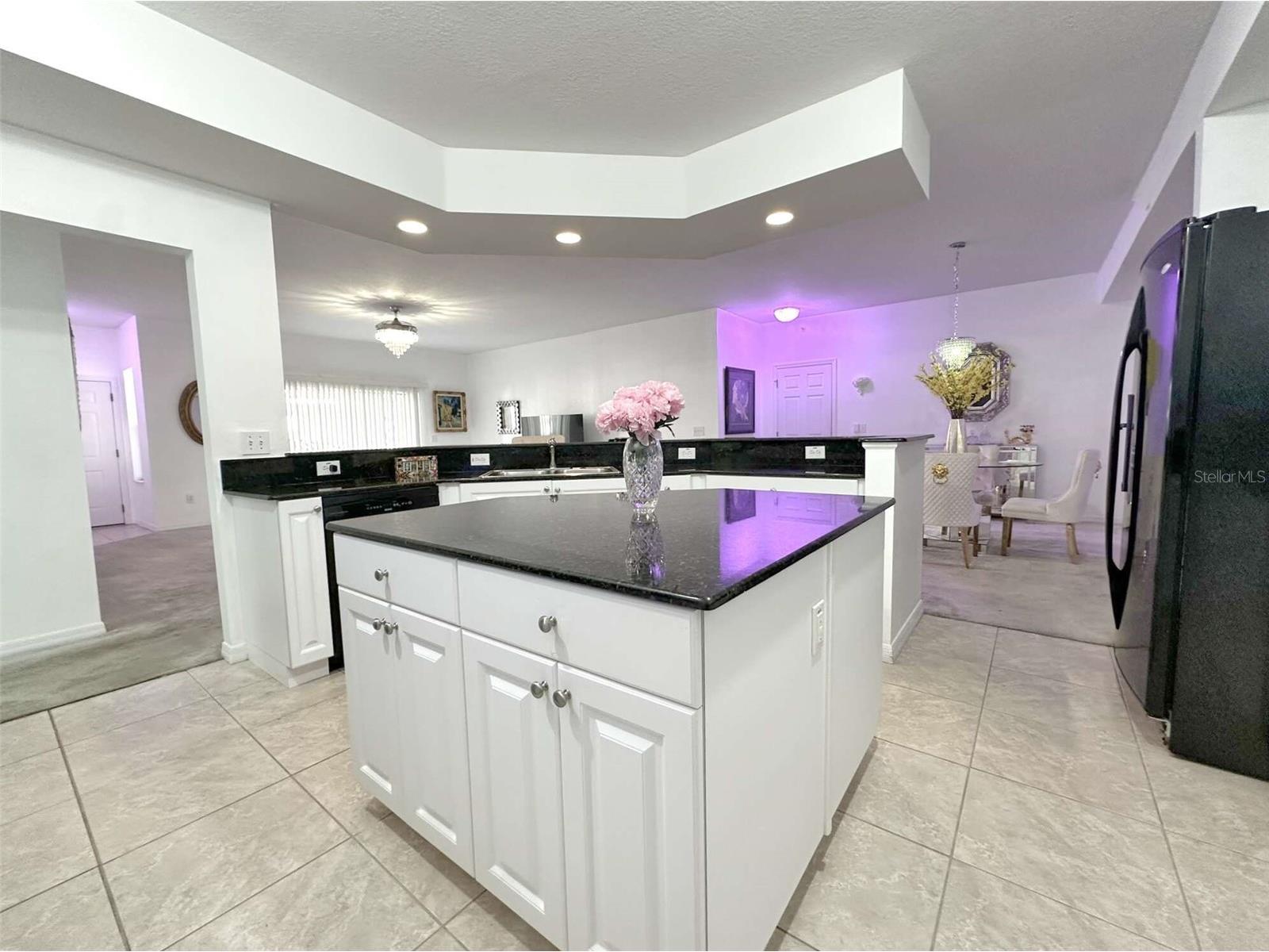 21019 Sunpoint Way #102 Lutz FL 33558 A4686922 image19