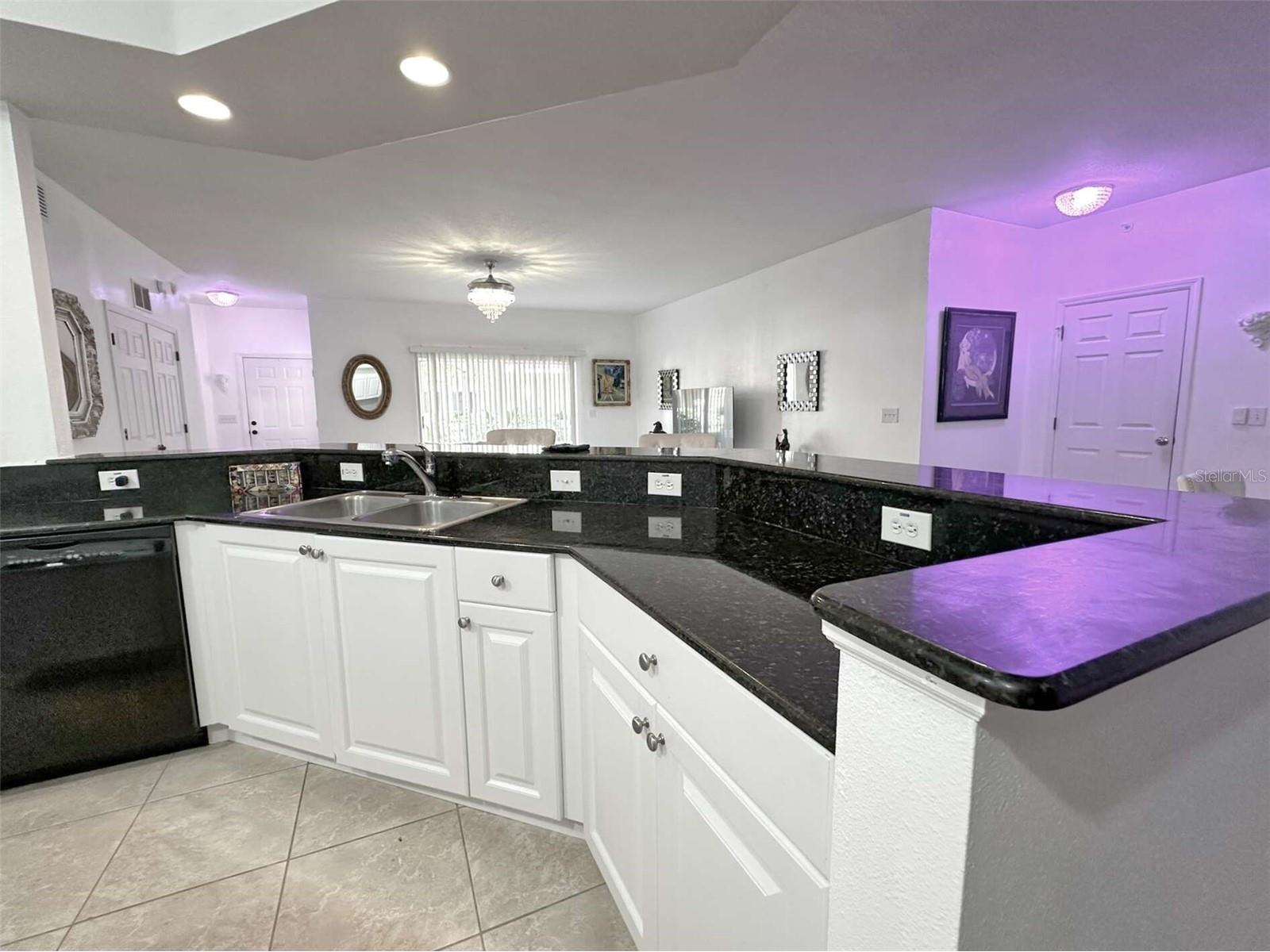 21019 Sunpoint Way #102 Lutz FL 33558 A4686922 image20