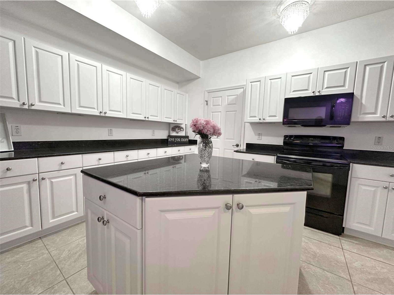 21019 Sunpoint Way #102 Lutz FL 33558 A4686922 image21