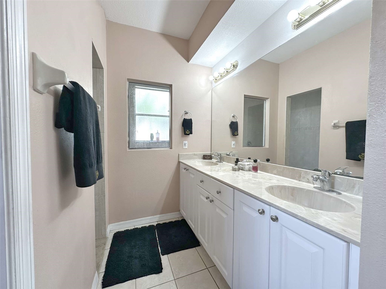 21019 Sunpoint Way #102 Lutz FL 33558 A4686922 image27