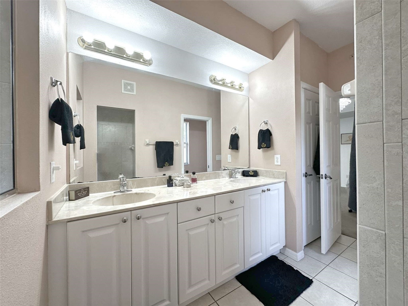 21019 Sunpoint Way #102 Lutz FL 33558 A4686922 image28