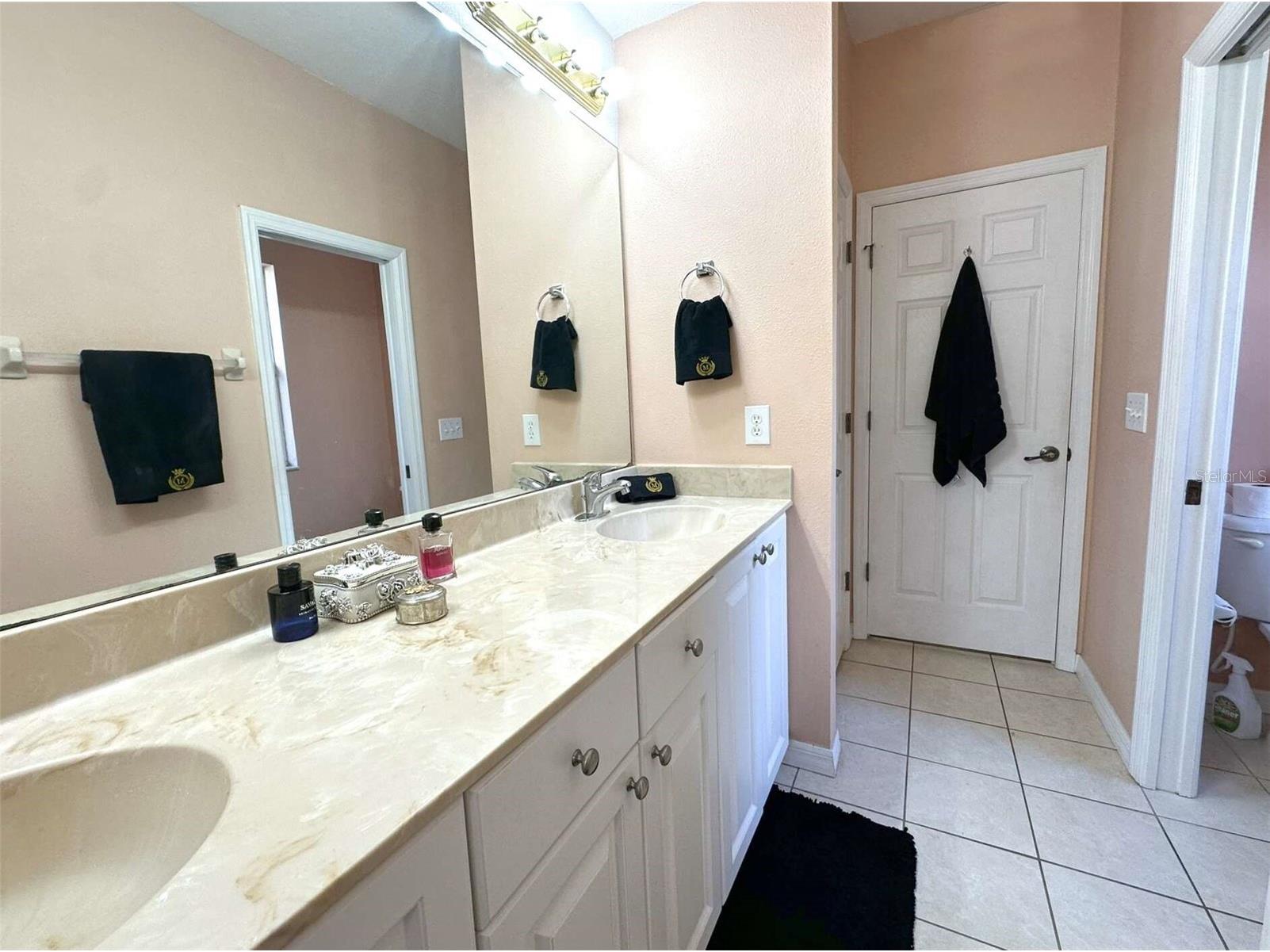 21019 Sunpoint Way #102 Lutz FL 33558 A4686922 image29