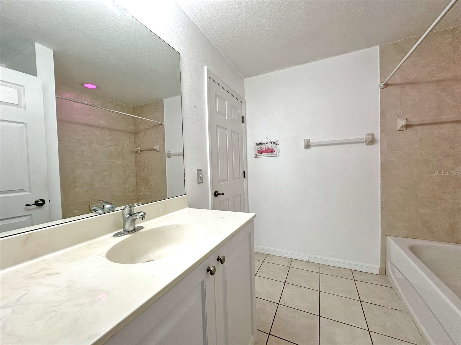 21019 Sunpoint Way #102 Lutz FL 33558 A4686922 image36