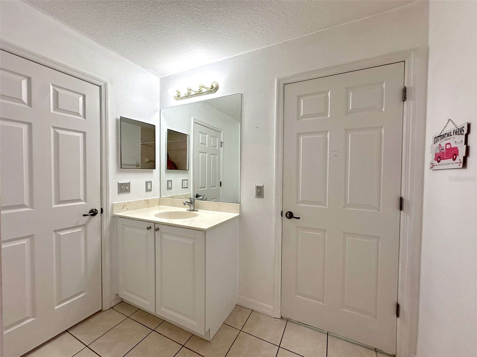 21019 Sunpoint Way #102 Lutz FL 33558 A4686922 image38