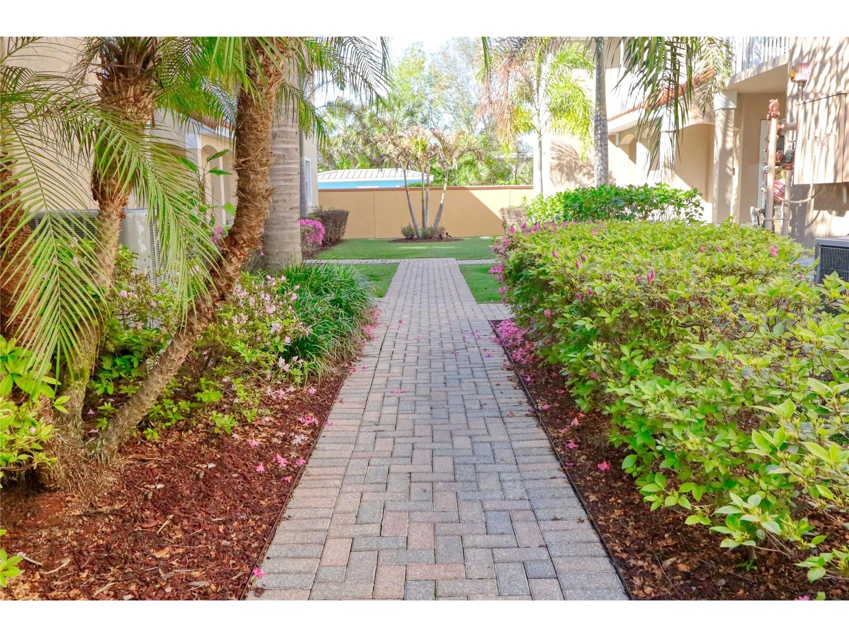 21019 Sunpoint Way #102 Lutz FL 33558 A4686922 image5