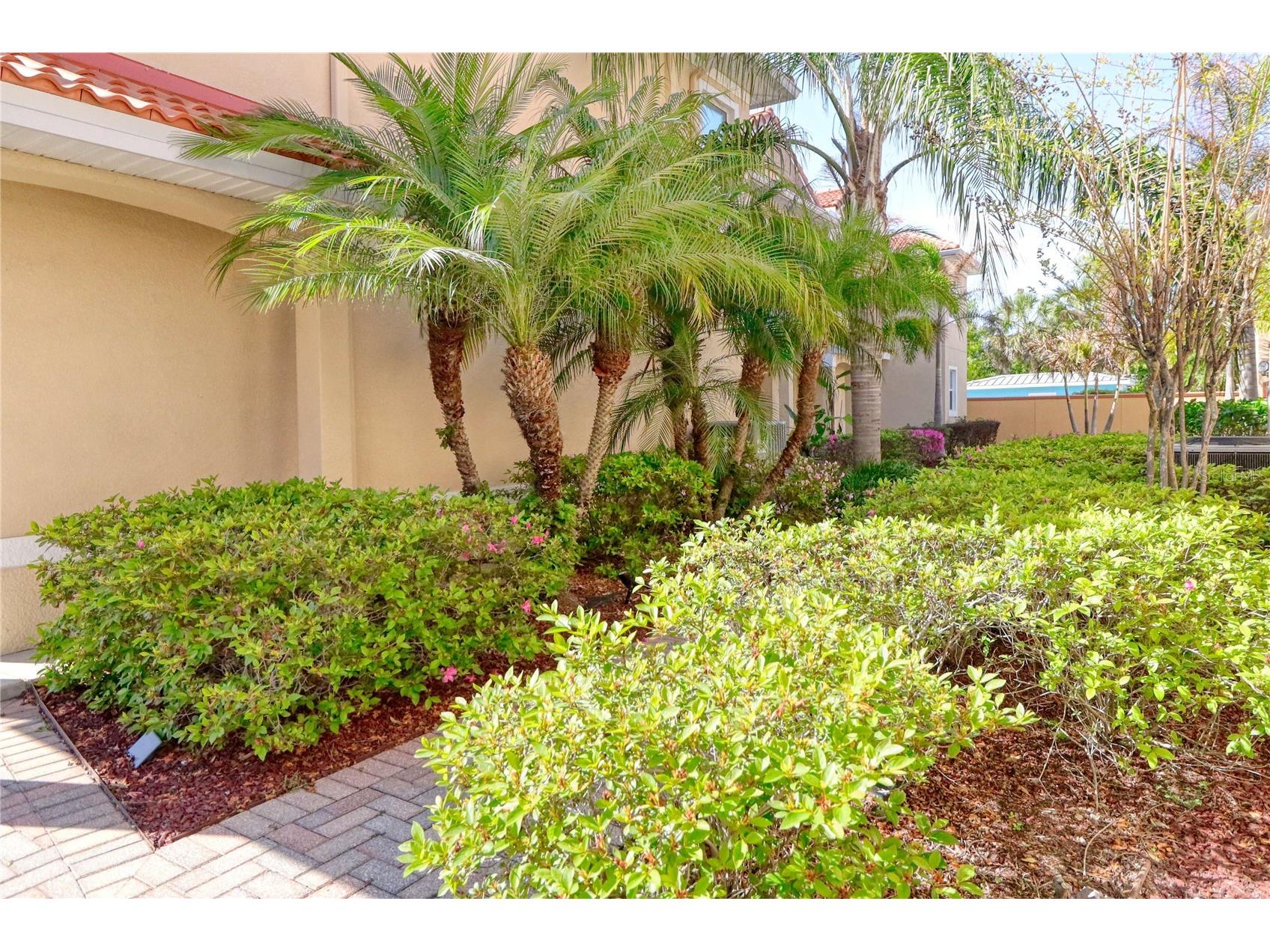21019 Sunpoint Way #102 Lutz FL 33558 A4686922 image6