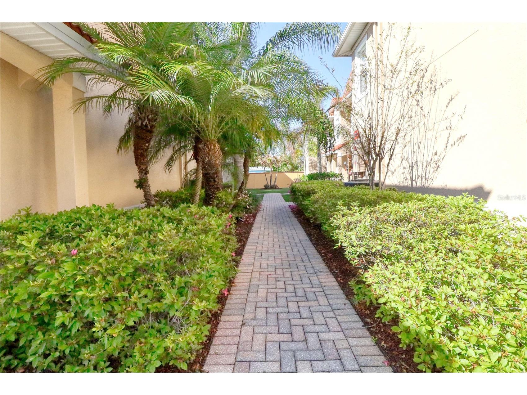 21019 Sunpoint Way #102 Lutz FL 33558 A4686922 image7