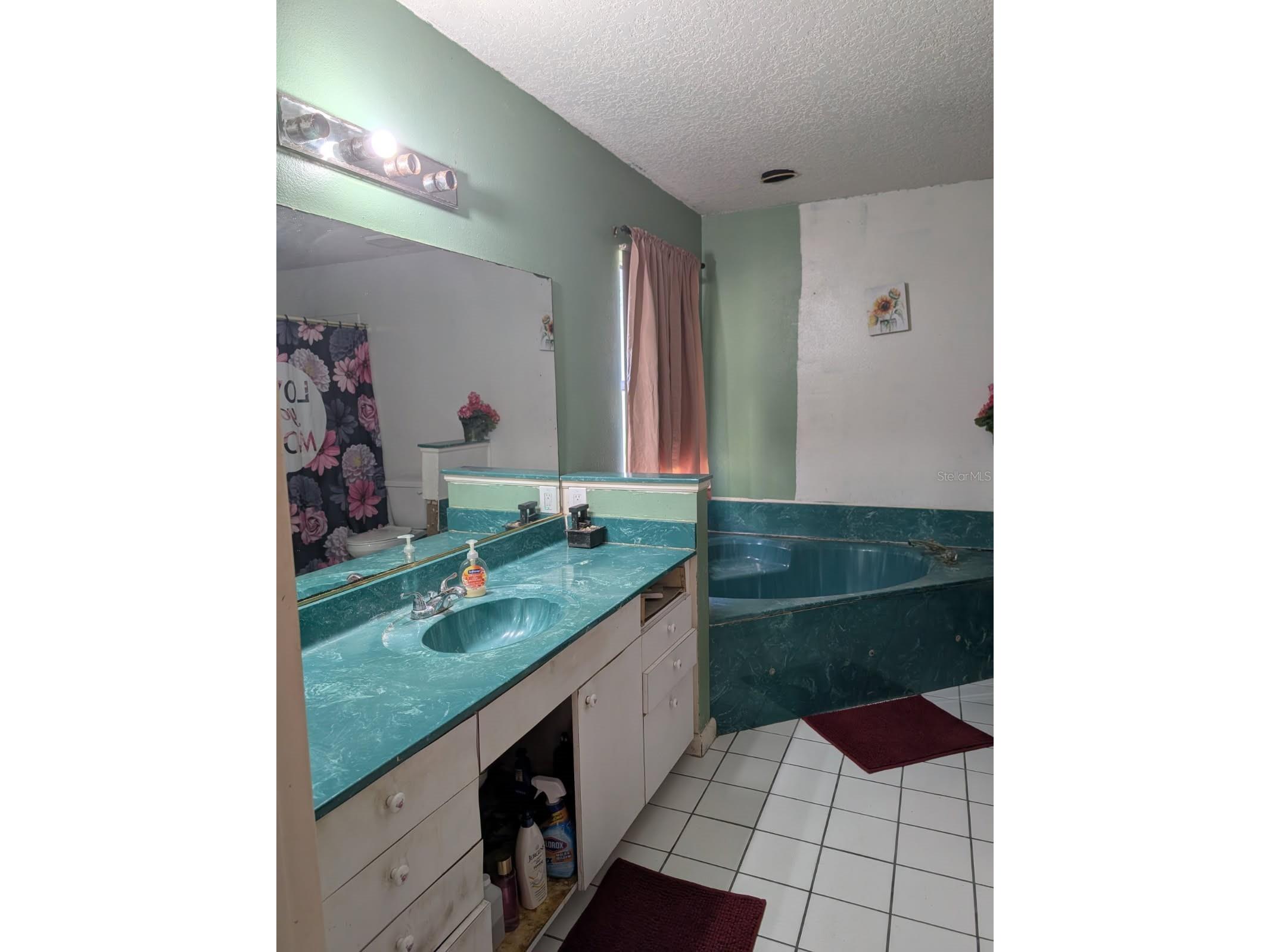 2102 28th Street Court E Palmetto FL 34221 TB8506509 image28