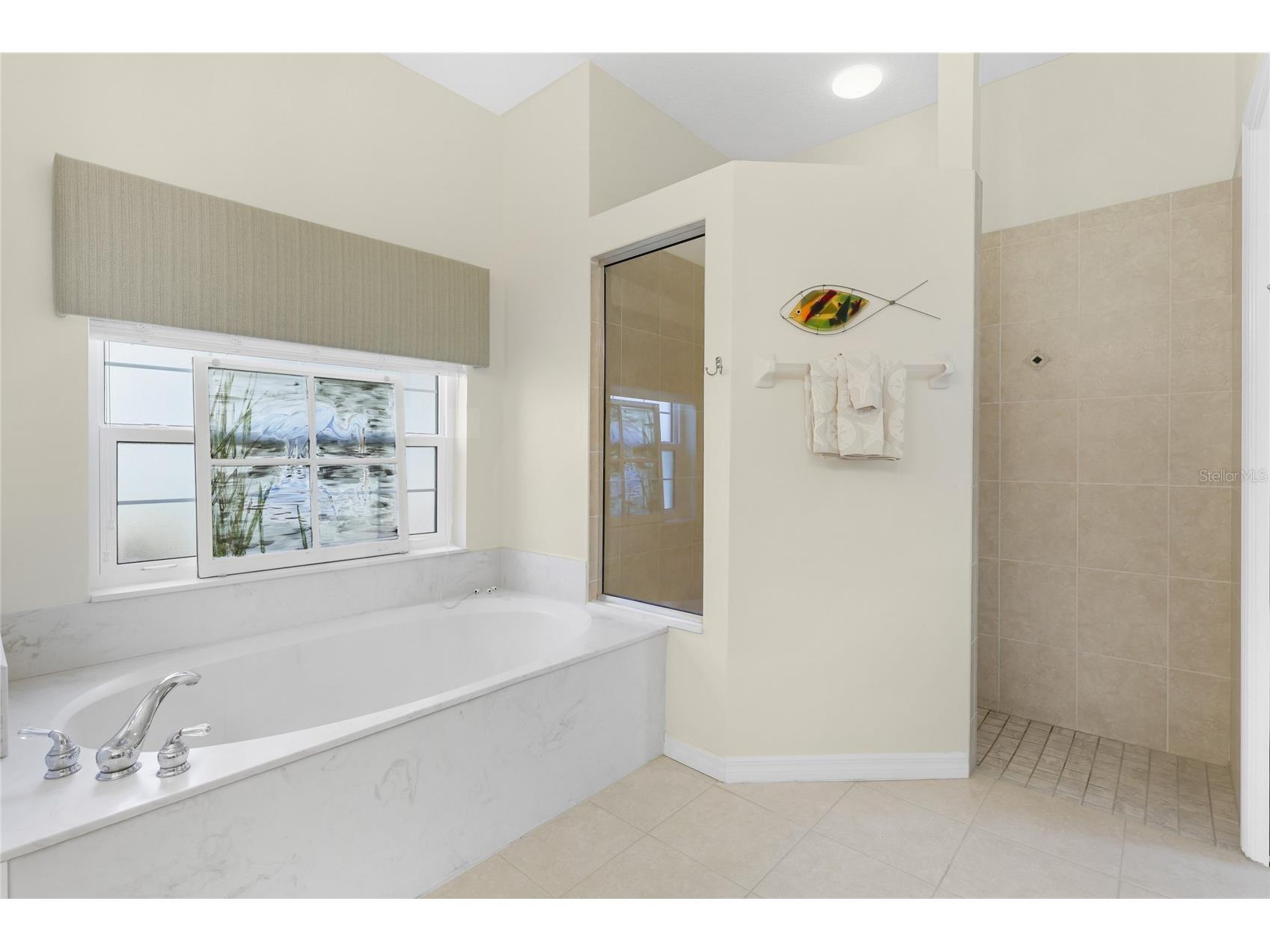 2102 Calusa Lakes Boulevard Nokomis FL 34275 A4694473 image22
