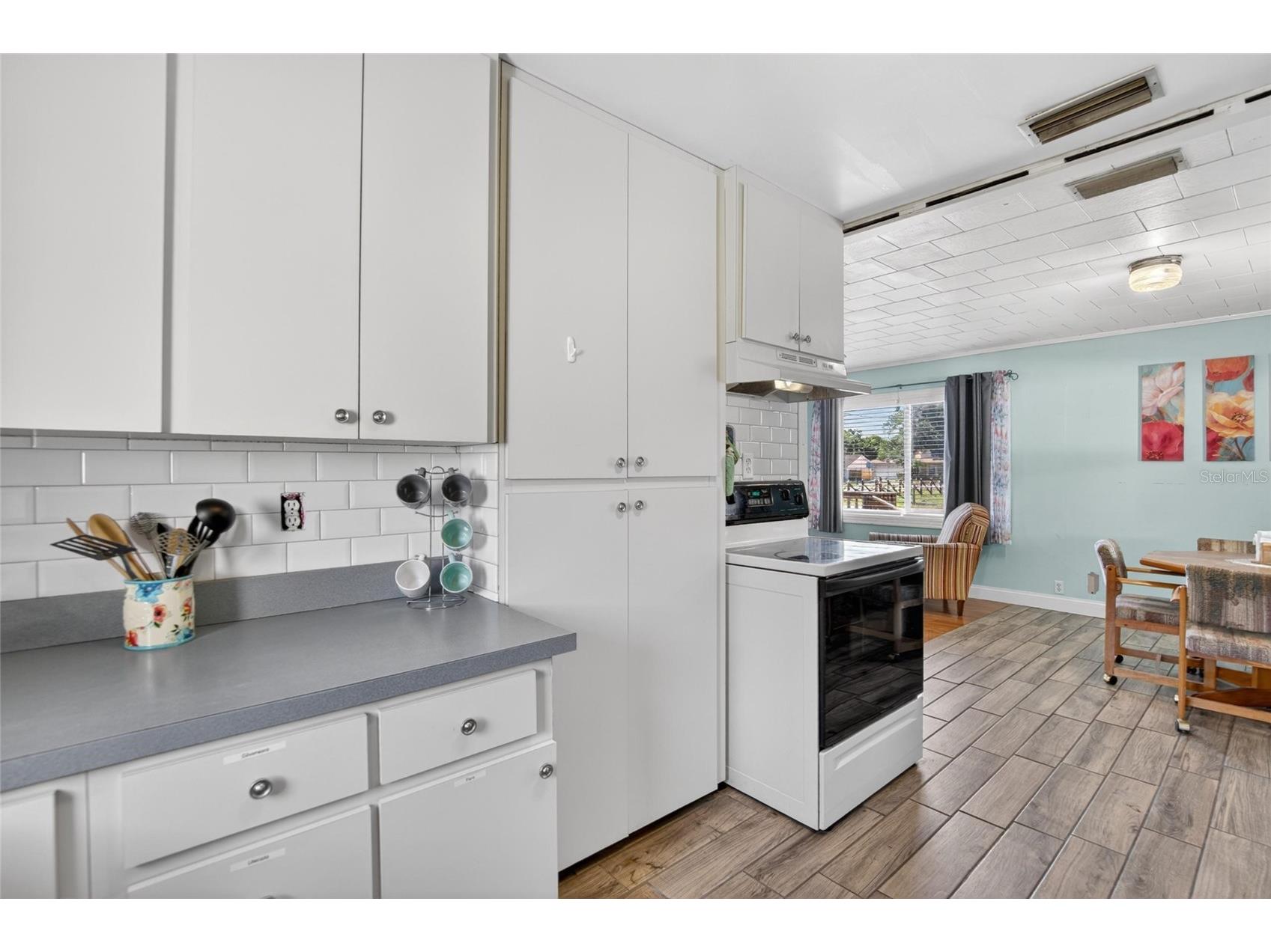 2102 Columbus Drive Brandon FL 33510 TB8505831 image10