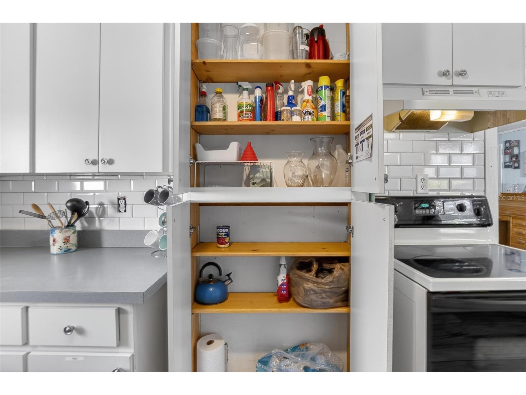 2102 Columbus Drive Brandon FL 33510 TB8505831 image14