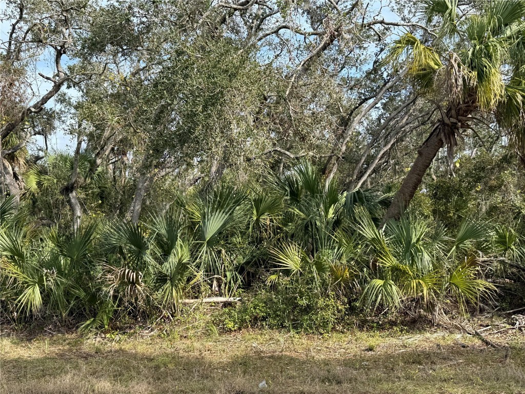 2102 Dorion Street Port Charlotte FL 33948 C7504287 image1